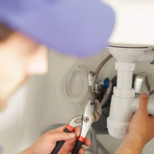 Untitled design (83)