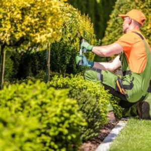 Untitled design (85)