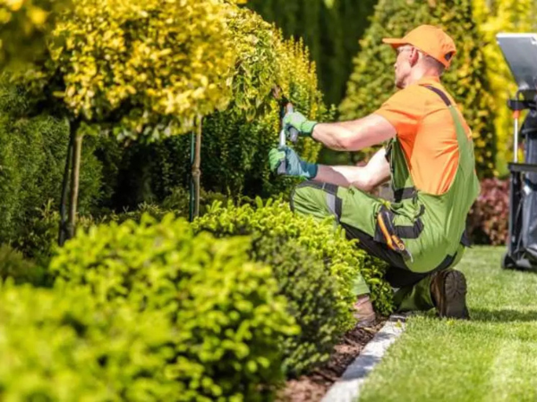 Untitled design (85)